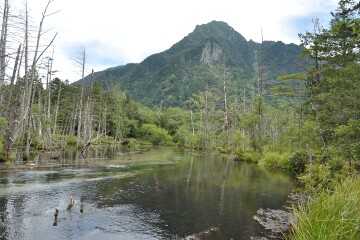 六百山 岳沢湿原