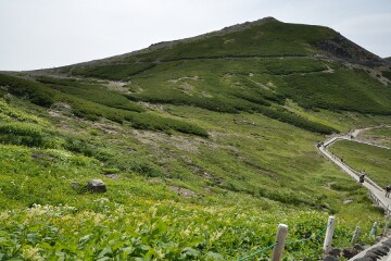 富士見岳 富士見岳