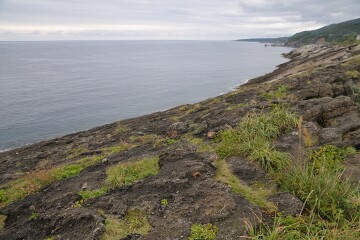 平根崎海岸