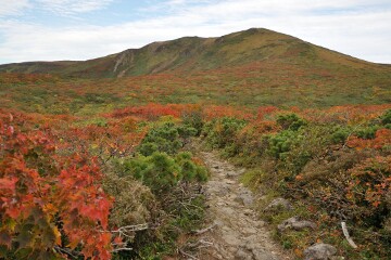 紅葉の中の登山路 紅葉の中の登山路
