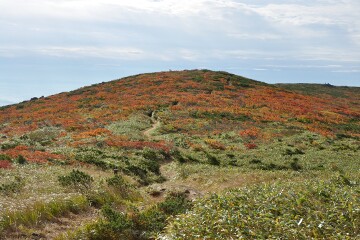 東栗駒山稜線 東栗駒山稜線