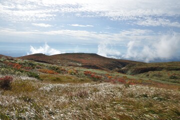 美しい紅葉 美しい紅葉