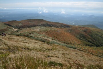 新湯沢源頭部の草紅葉 新湯沢源頭部の草紅葉