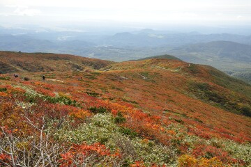 山頂からの眺望 山頂からの眺望