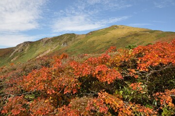 栗駒山 栗駒山""