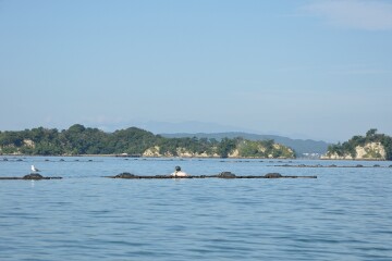 松島湾 松島湾