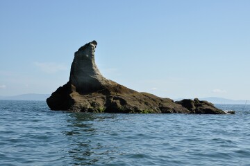 アシカ アシカ岩