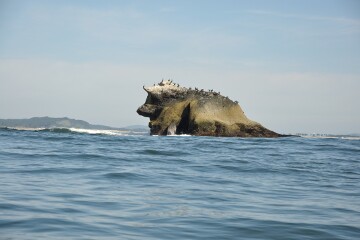 カエル島 カエル島