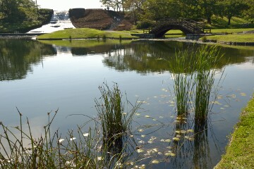 やすらぎの池 やすらぎの池