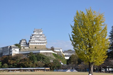 天守 天守