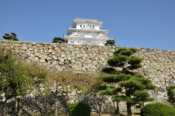二の丸から見た天守 二の丸から見た天守
