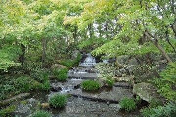 段々の滝 段々の滝