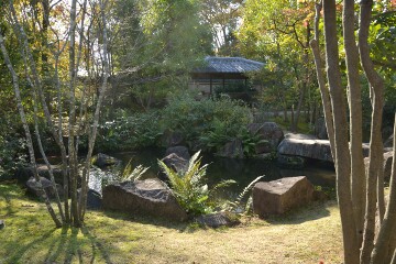 鷺望亭と夏木の庭 鷺望亭と夏木の庭