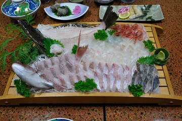 旬の魚の姿造り 旬の魚の姿造り