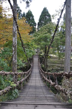 かずら橋 かずら橋
