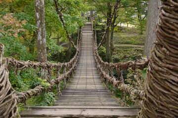 かずら橋 かずら橋
