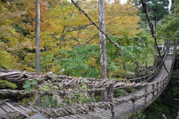 かずら橋" かずら橋