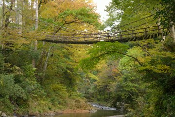 かずら橋 かずら橋