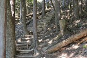 登山道 登山道