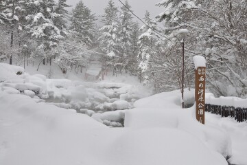 西ノ河原公園 西ノ河原公園