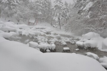 西ノ河原公園 西ノ河原公園