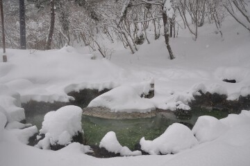 エメラルドグリーン エメラルドグリーン