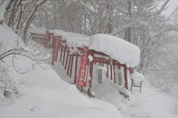 赤い鳥居がずらっと連なる 草津穴守稲荷神社