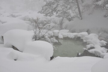 温泉の池 温泉の池