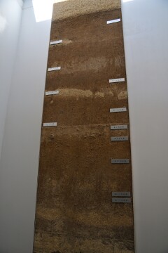 稿状に堆積 関東ローム層