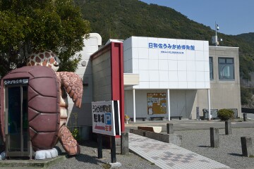 うみがめ公衆電話 日和佐うみがめ博物館カレッタ