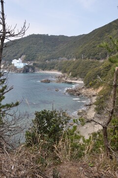 海岸線 恵比須洞