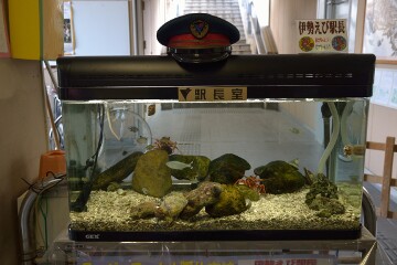 伊勢エビ駅長 伊勢エビ駅長