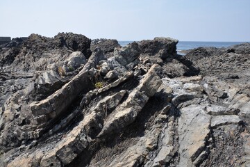湾曲した岩 地殻変動