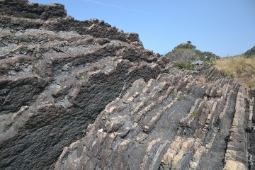 砂岩岩脈 砂岩岩脈