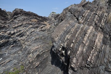 砂岩岩脈 砂岩岩脈