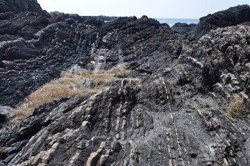 砂岩岩脈 砂岩岩脈