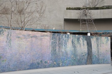 柳のある明るい朝 モネの大睡蓮