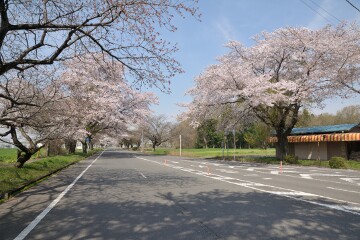 県道井頭公園線