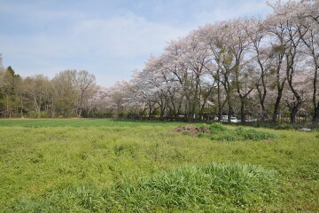 井頭公園