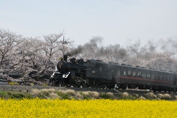 C12形蒸気機関車