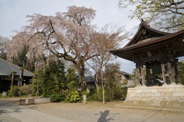 芳全寺