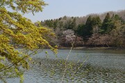 井頭公園