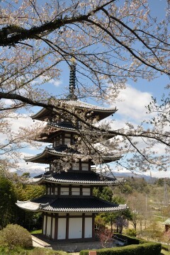 桜と五重塔