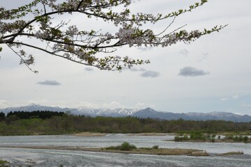 和賀川と北上川の合流