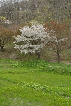 みちのく民俗村