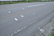 くまの横断歩道