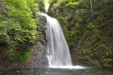 大仙の滝 大仙の滝