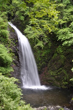 大仙の滝 大仙の滝