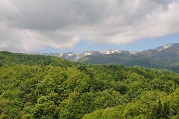 草津白根山 草津白根山