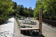 西ノ河原公園 西ノ河原公園